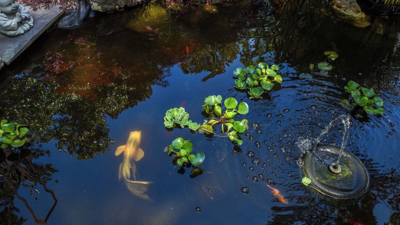 Photo of Others in Wellfleet