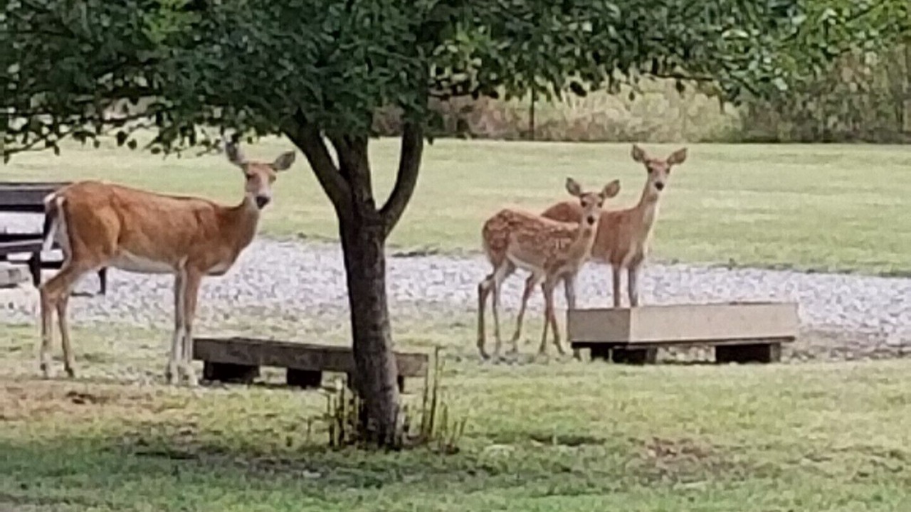 Photo of Outdoor in Sulphur