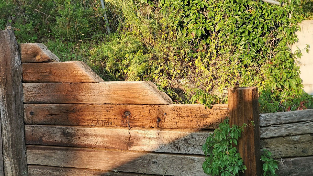Photo of Outdoor in Ruidoso