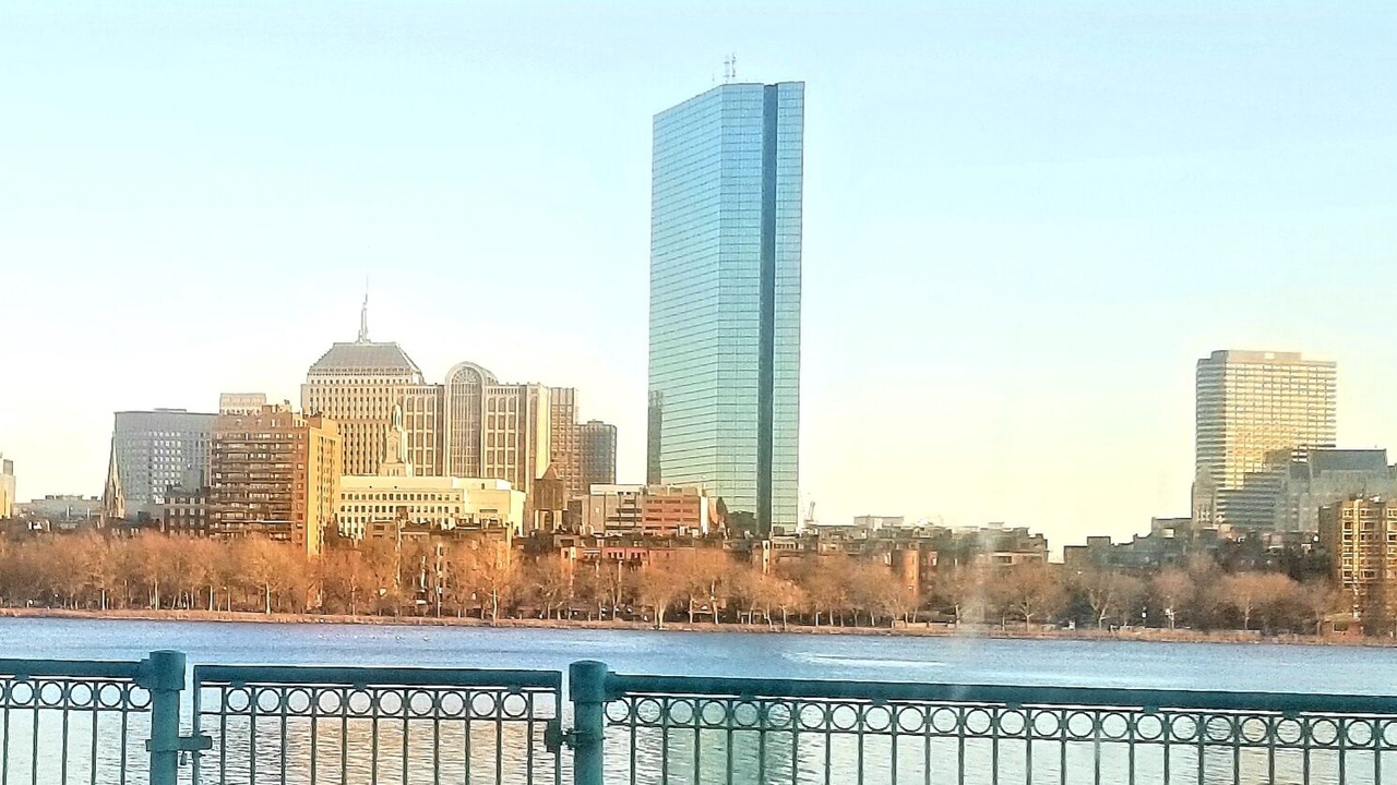 Photo of Others in Lower Allston