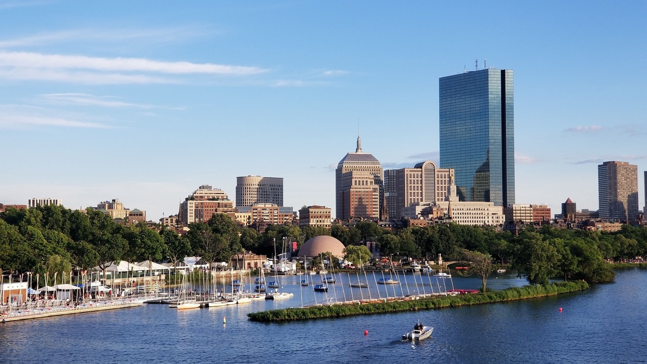 Photo of Others in Lower Allston