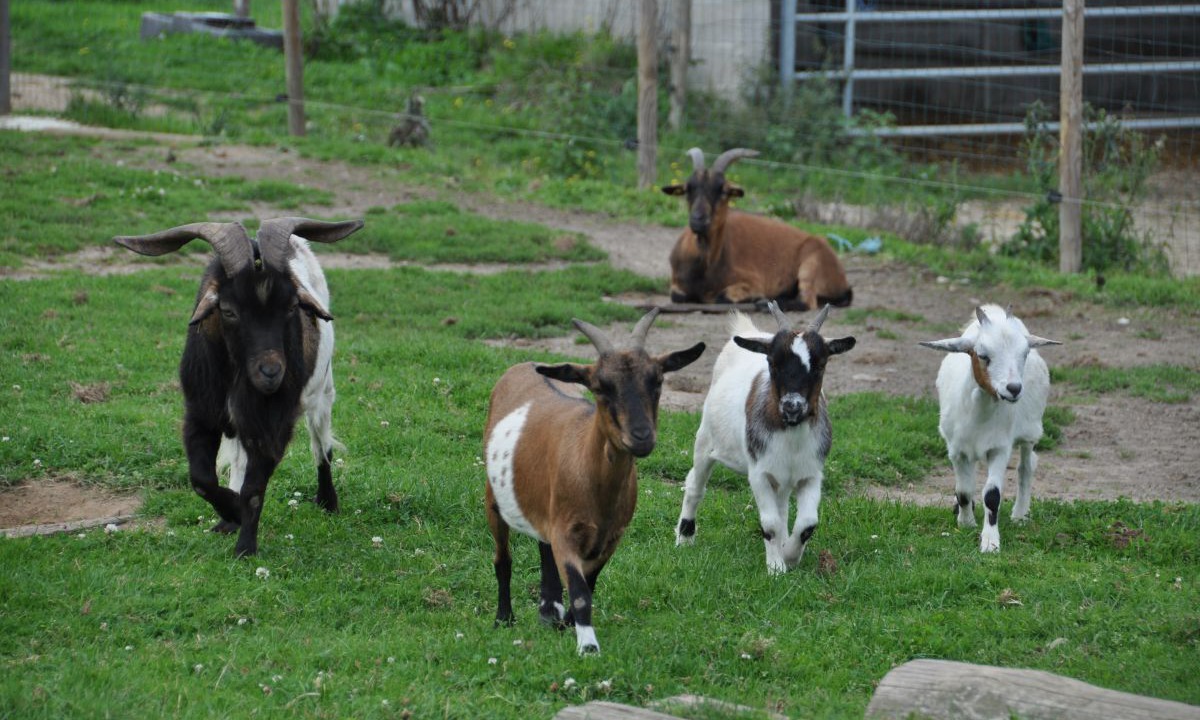 Photo of Outdoor in Pleudaniel