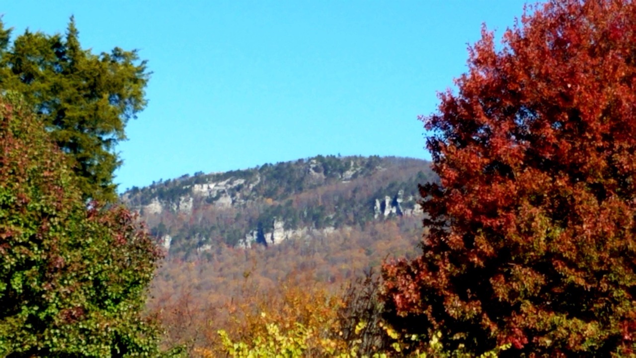 Photo of Outdoor in Stokes