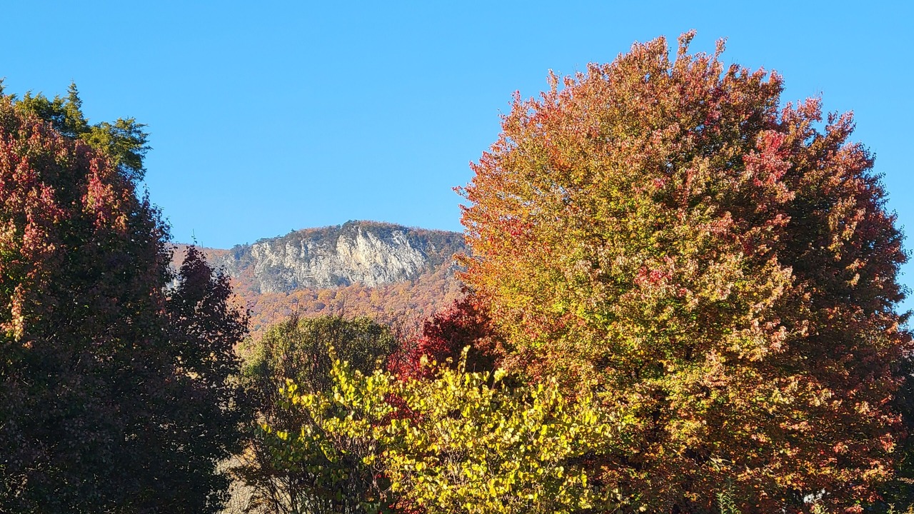 Photo of Outdoor in Stokes