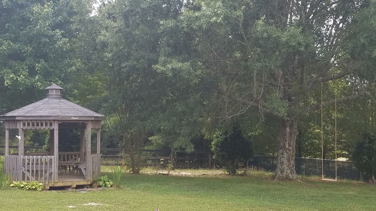 Photo of Outdoor in Stokes