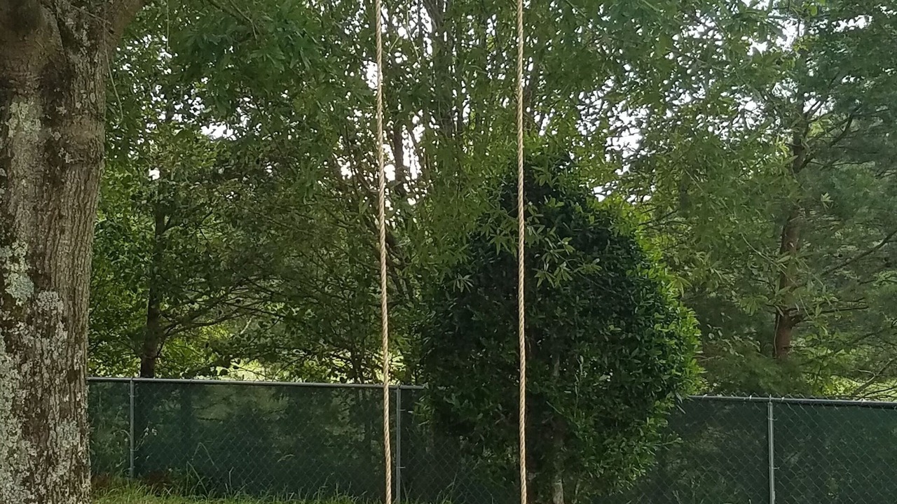 Photo of Outdoor in Stokes