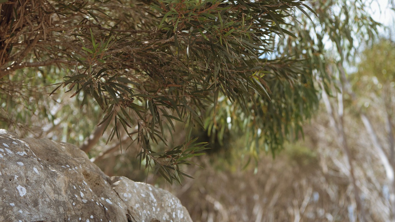 Photo of Others in Kingscote