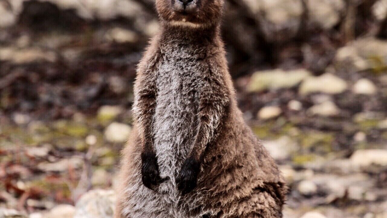 Photo of Outdoor in Kingscote