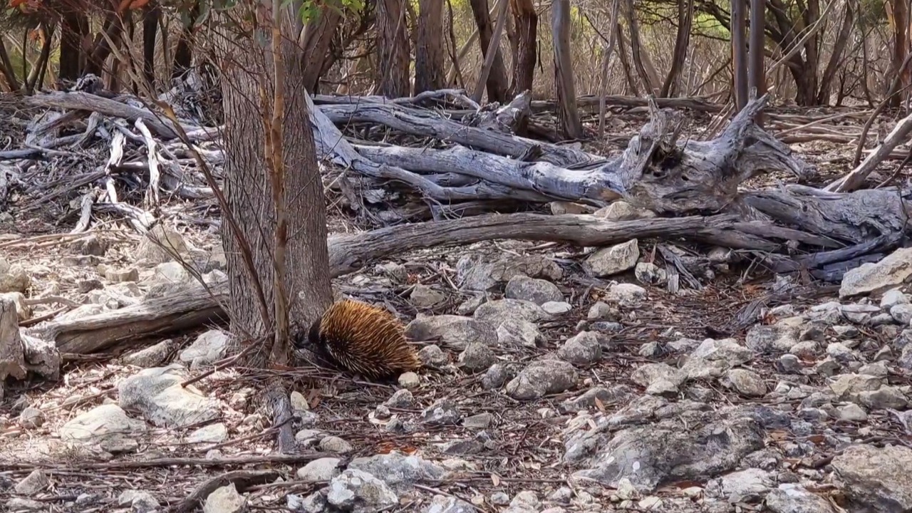 Photo of Outdoor in Kingscote