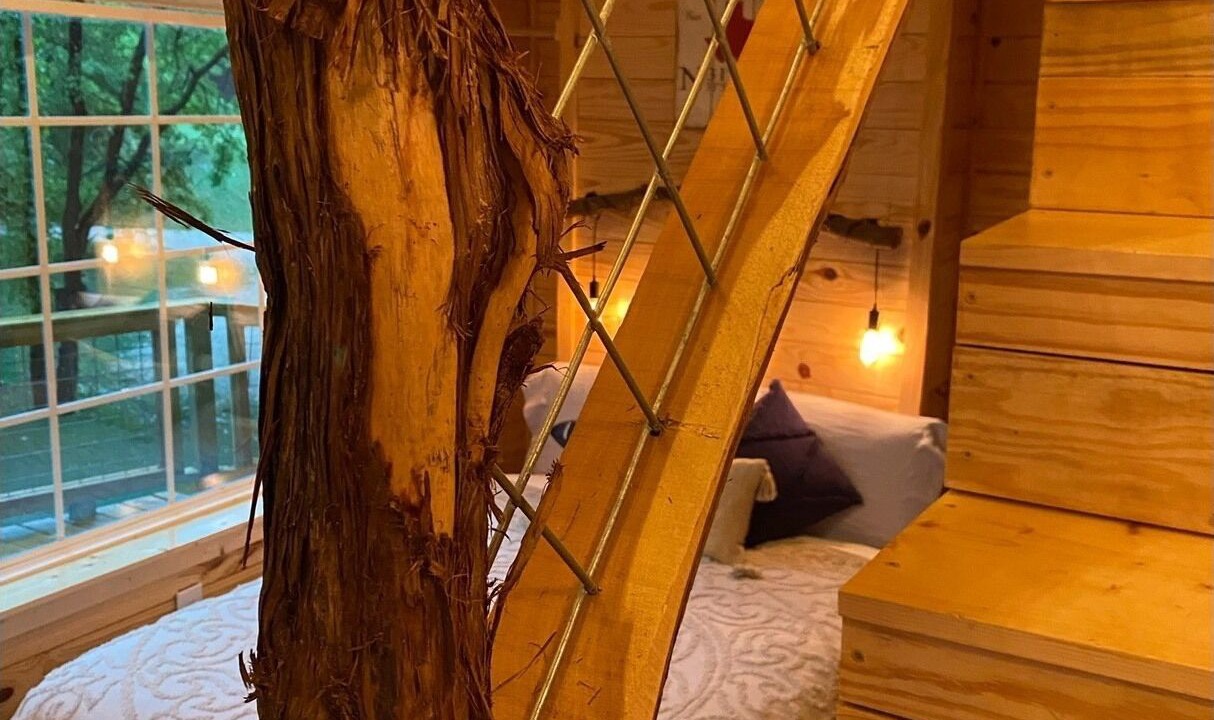 Photo of Bedroom in Lacy-Lakeview