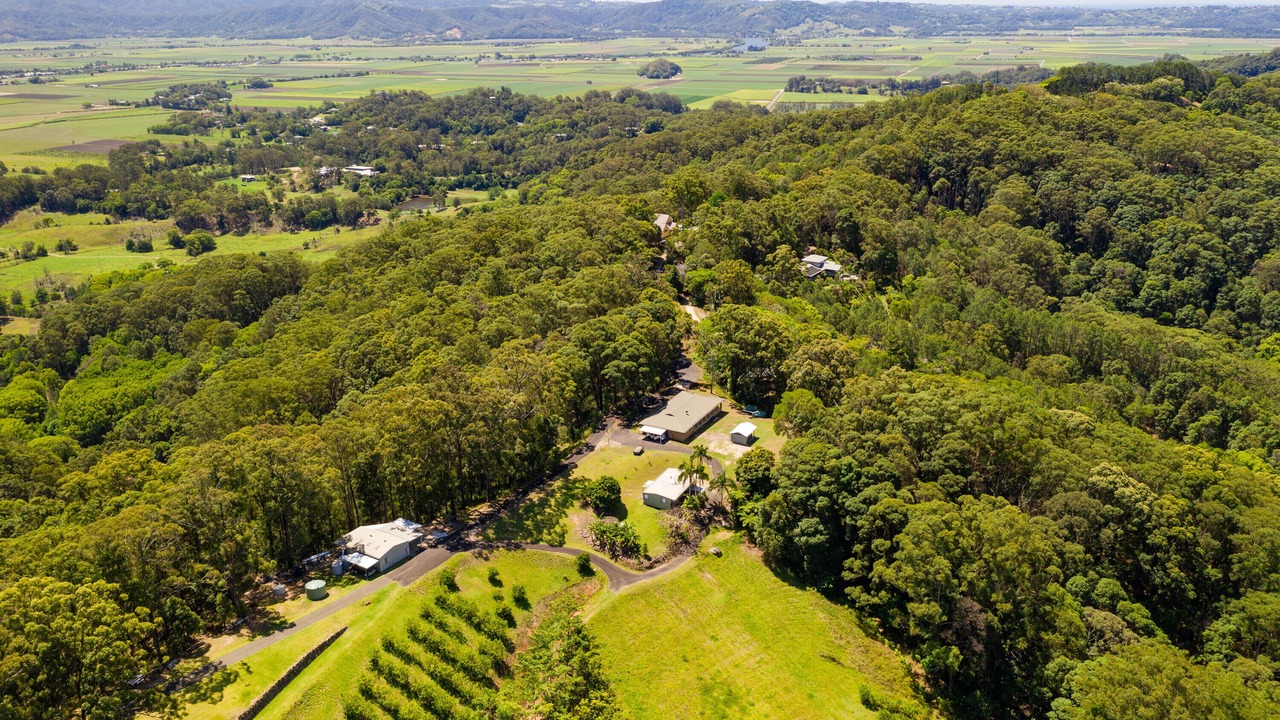 Photo of Outdoor in Clothiers Creek