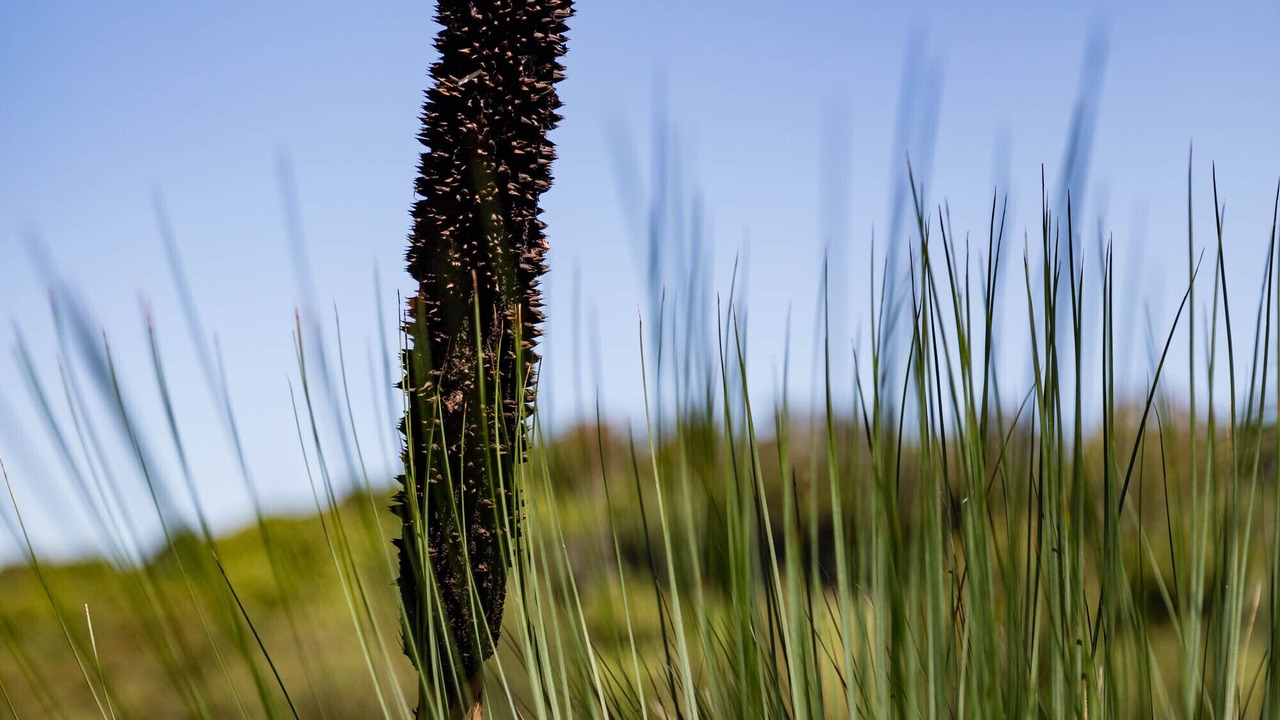 Photo of Outdoor in Clothiers Creek