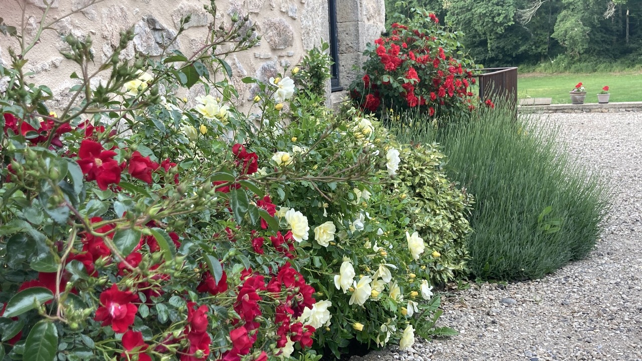 Photo of Outdoor in Montigny-Saint-Barthelemy