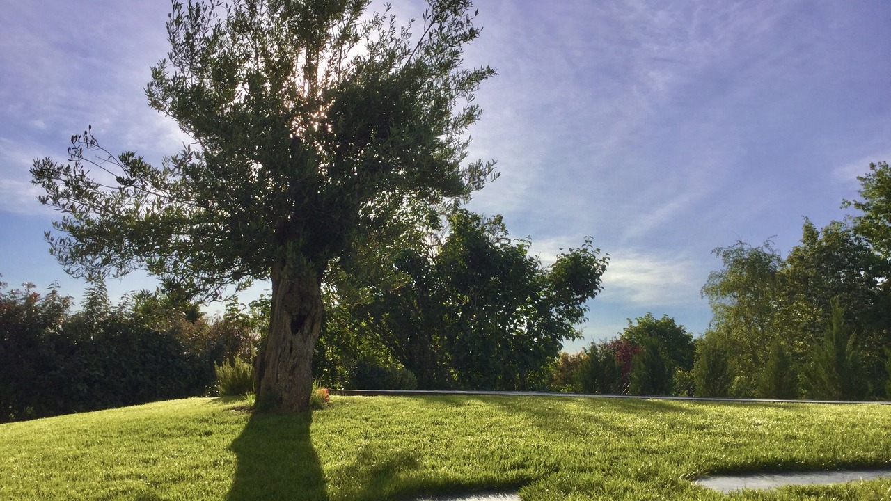 Photo of Outdoor in Castelmaurou