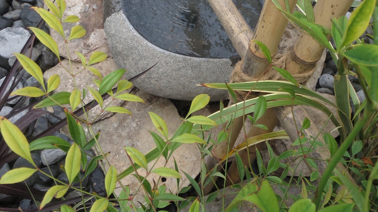 Photo of Outdoor in Castelmaurou