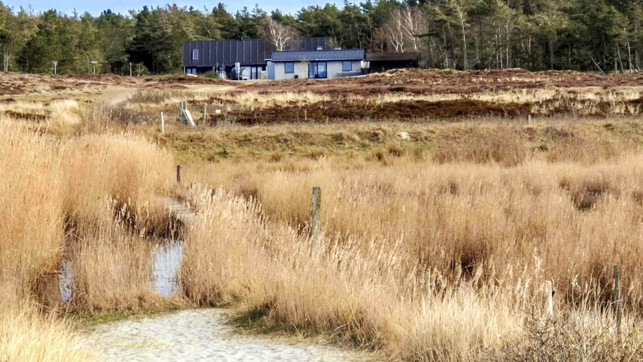 Photo of Others in Læsø