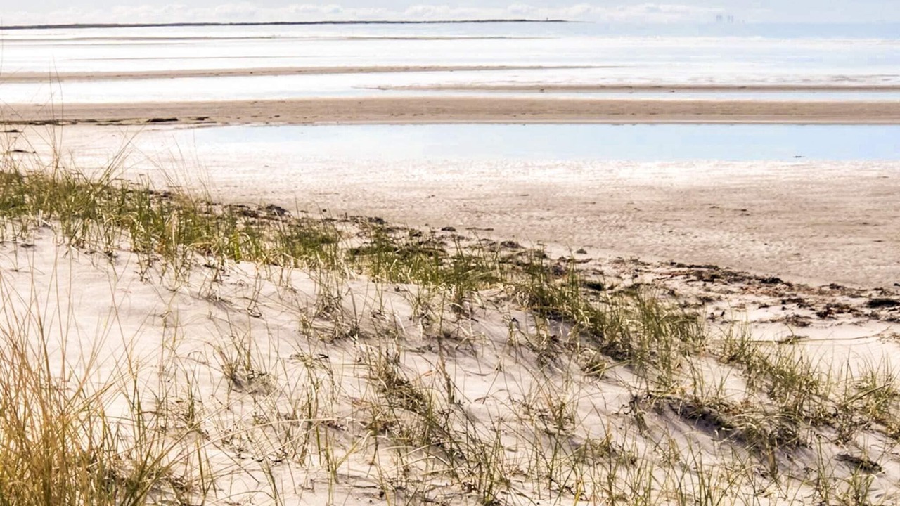 Photo of Others in Læsø