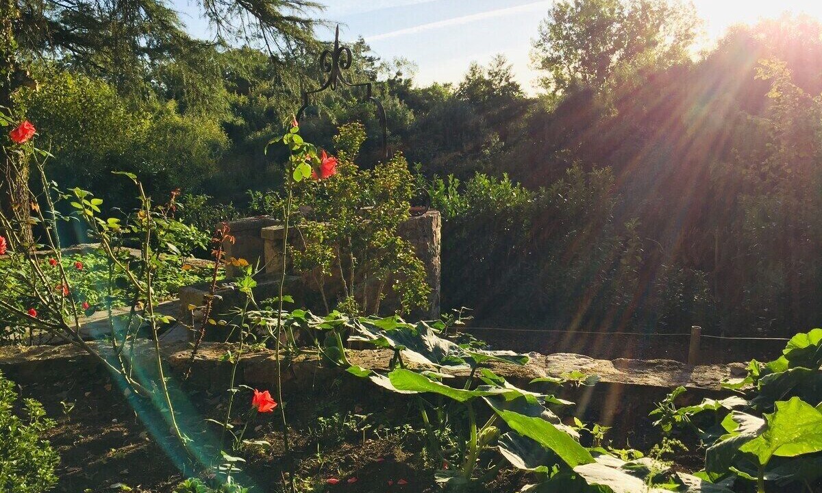 Photo of Outdoor in La Boissiere-de-Montaigu