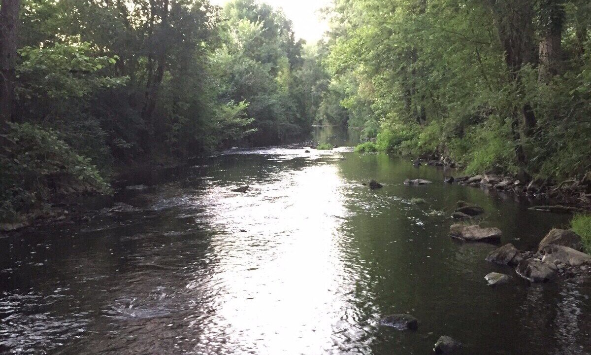 Photo of Others in La Boissiere-de-Montaigu