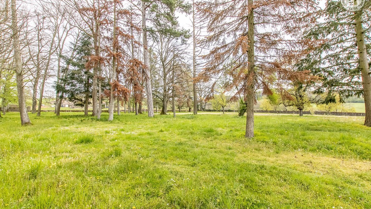 Photo of Outdoor in Cluny