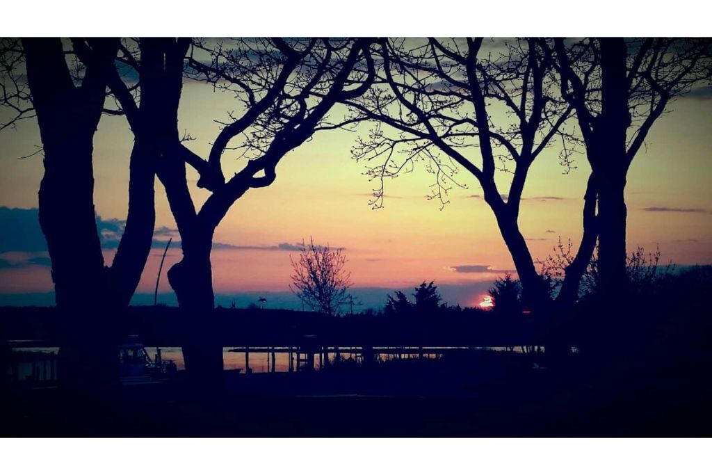 Photo of Others in Springs