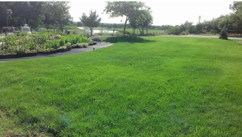 Photo of Outdoor in Springs