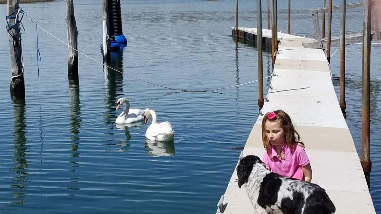 Photo of Others in Springs