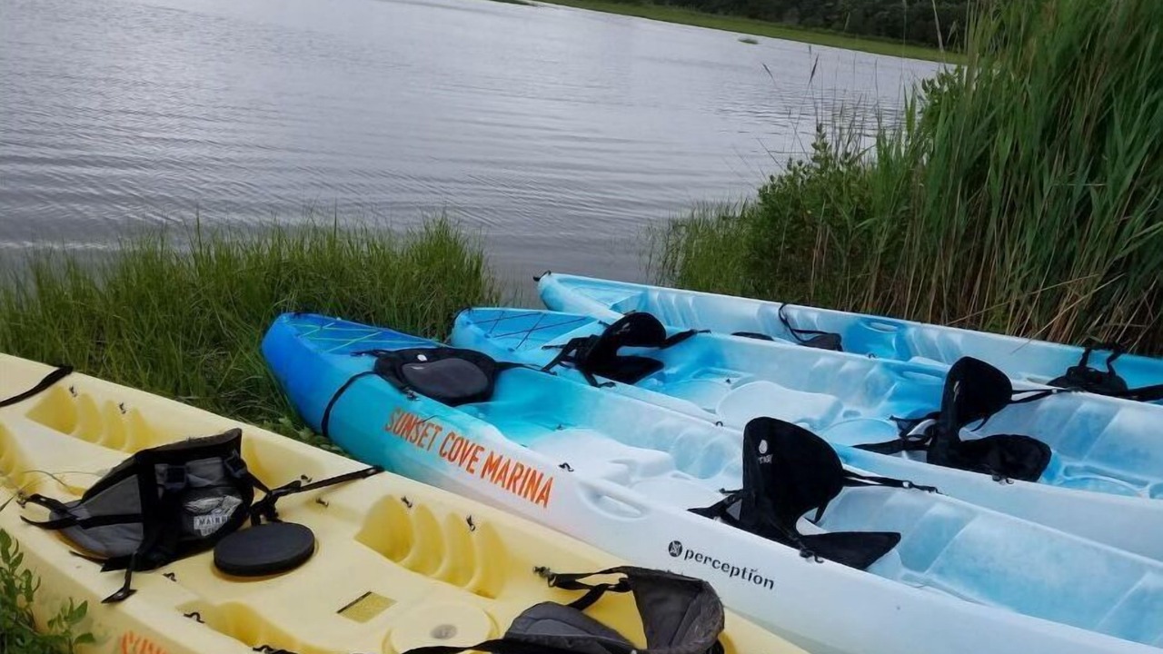 Photo of Outdoor in Springs