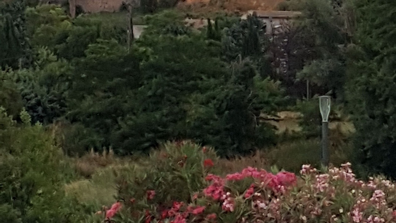 Photo of Others in Carcassonne