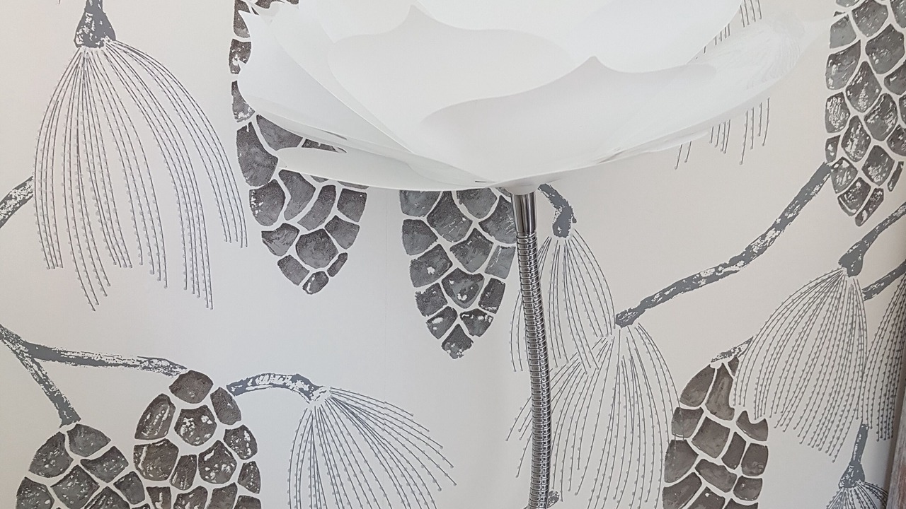 Photo of Others in Carcassonne