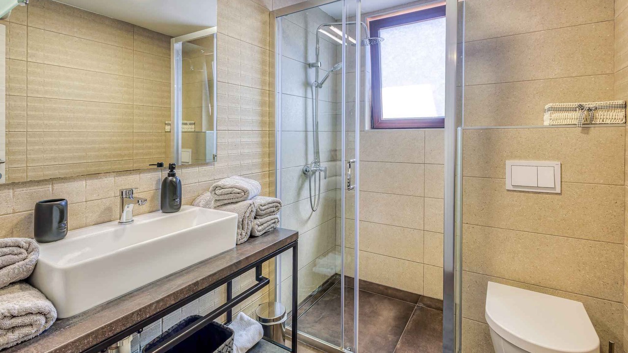 Photo of Bathroom in Milovcici
