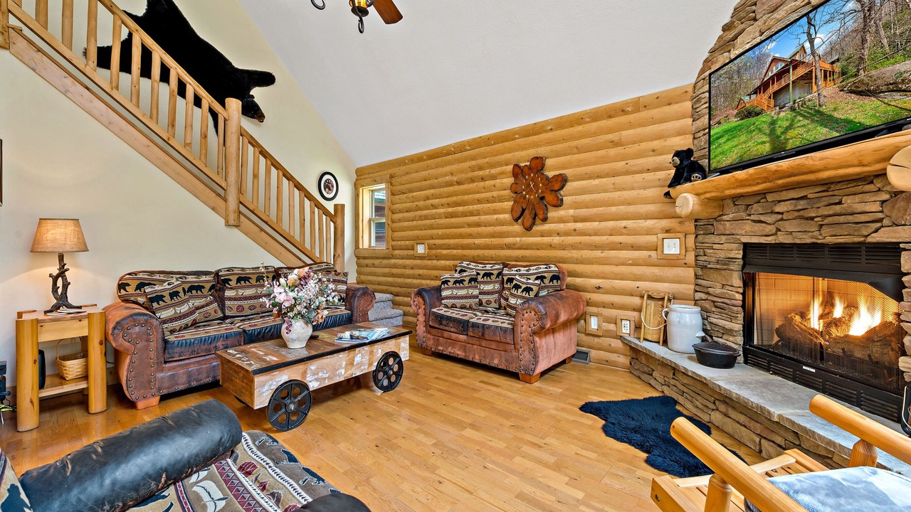 Photo of Livingroom in Skyland