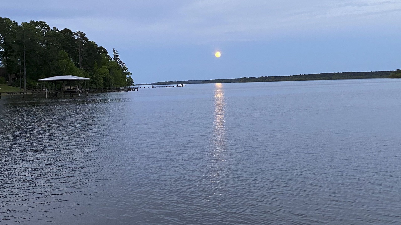 Photo of Outdoor in Hemphill