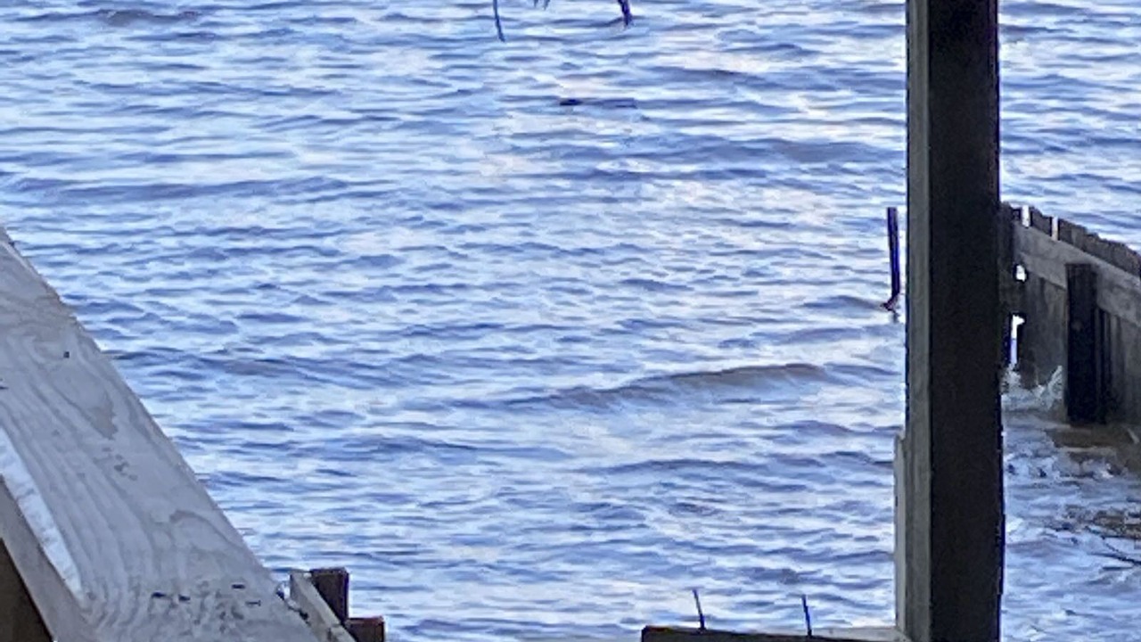 Photo of Others in Hemphill
