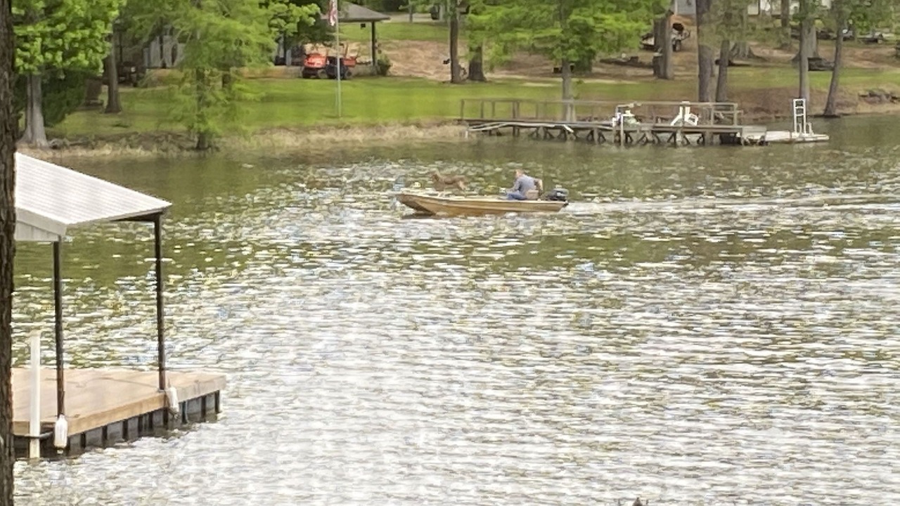 Photo of Outdoor in Hemphill