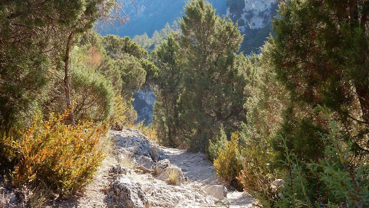 Photo of Outdoor in Estoublon