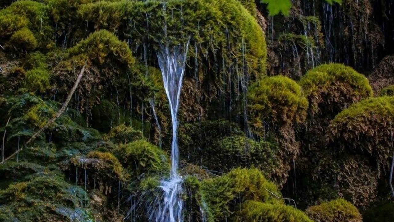 Photo of Outdoor in Estoublon