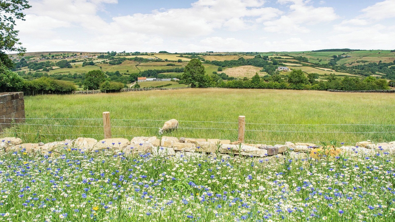 Photo of Outdoor in Glaisdale