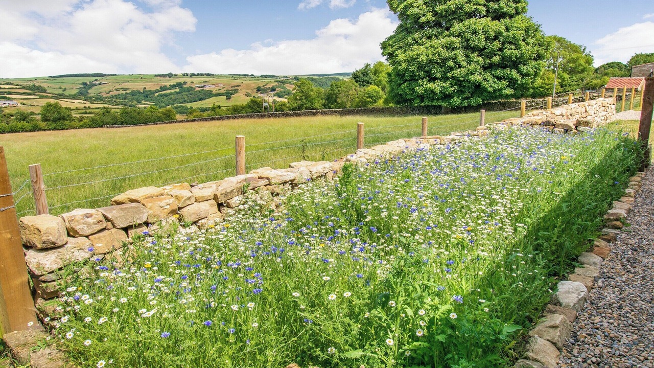 Photo of Outdoor in Glaisdale