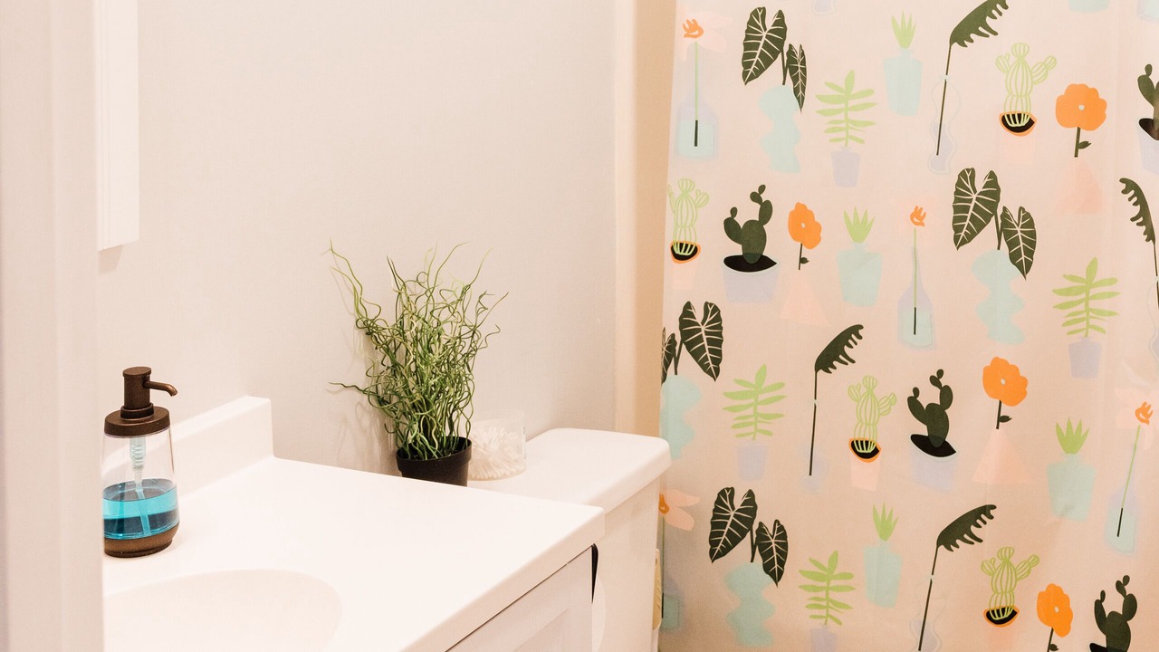 Photo of Bathroom in Carrboro