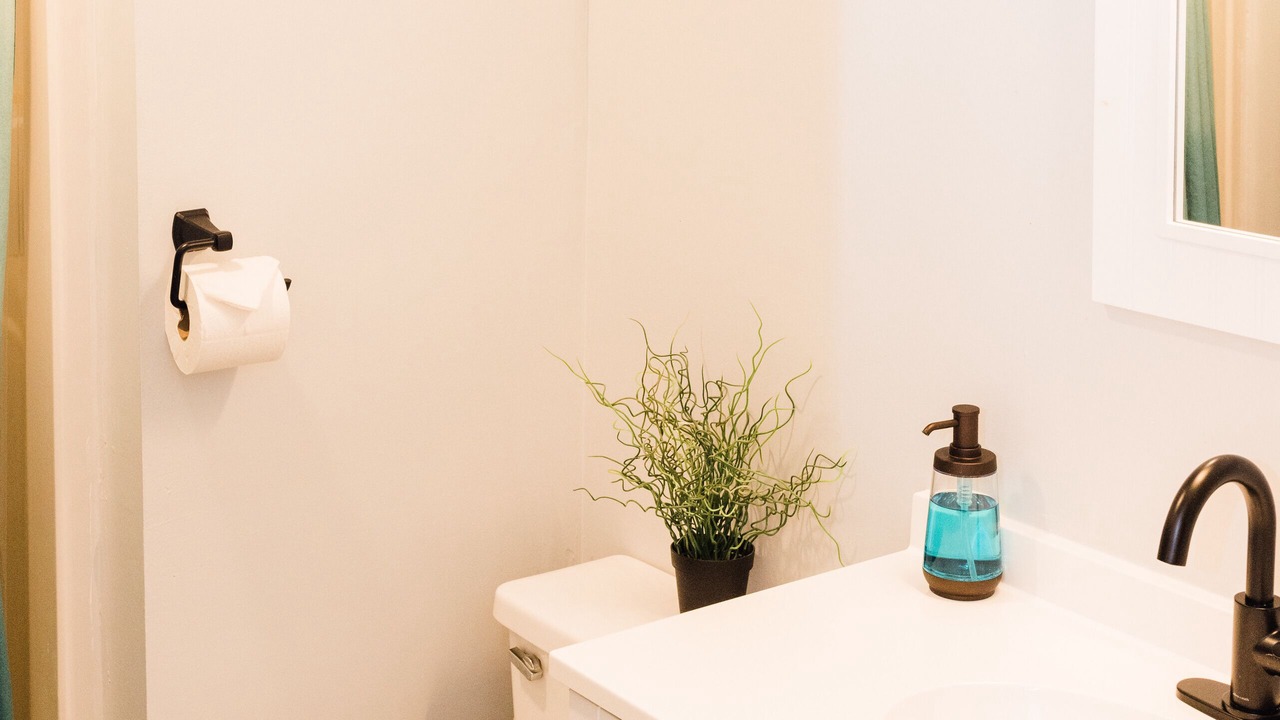 Photo of Bathroom in Carrboro