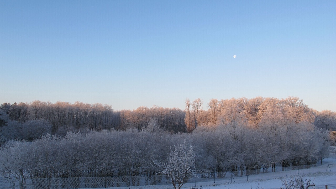 Photo of Others in Orchaise