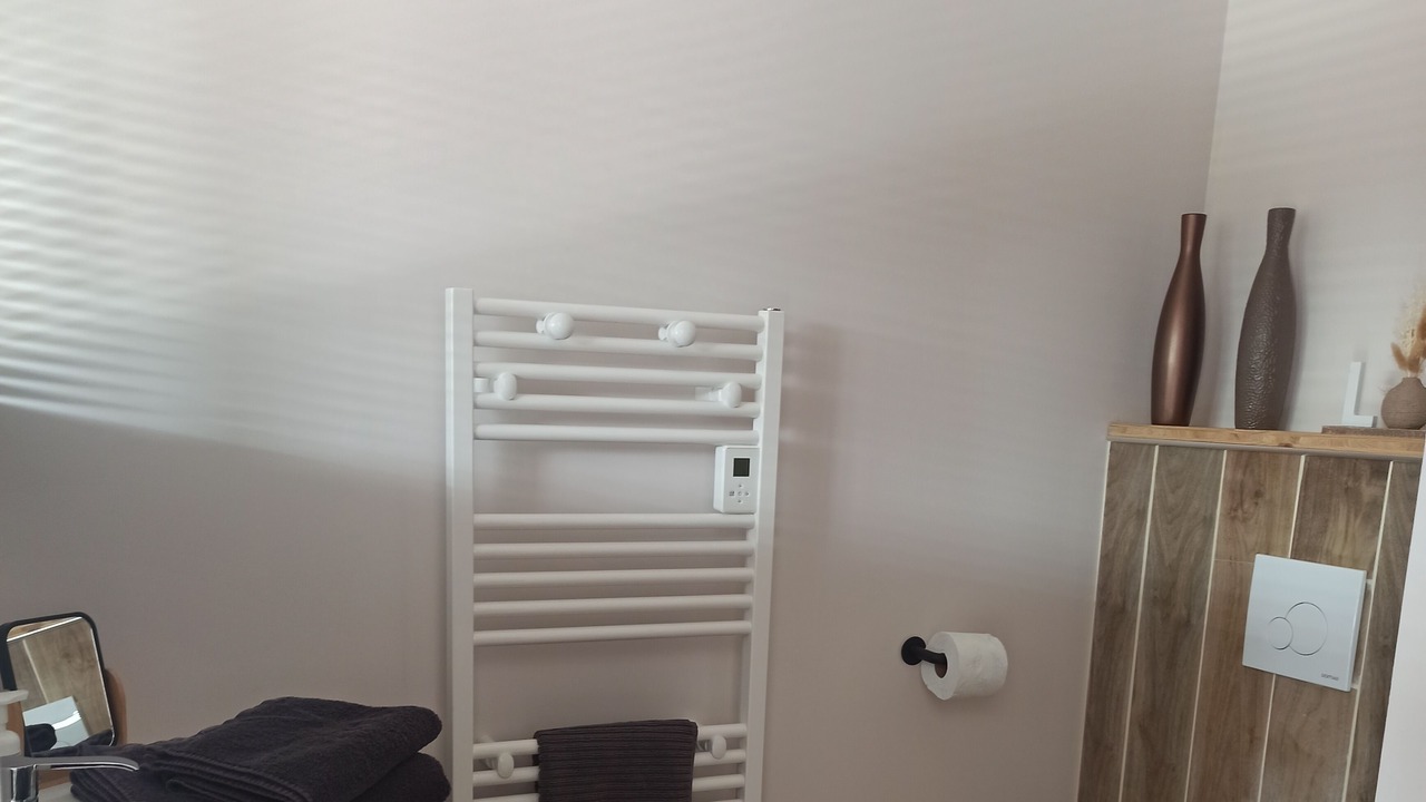 Photo of Bathroom in Orchaise