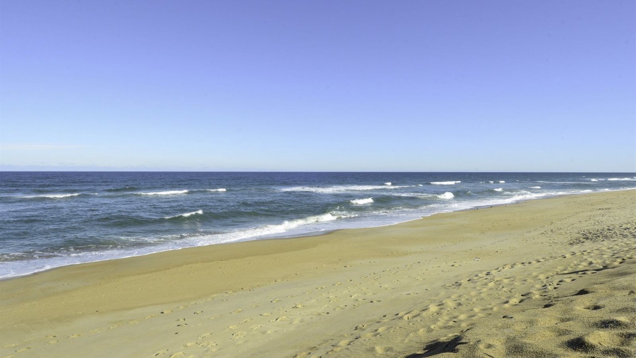 Photo of Others in Kitty Hawk
