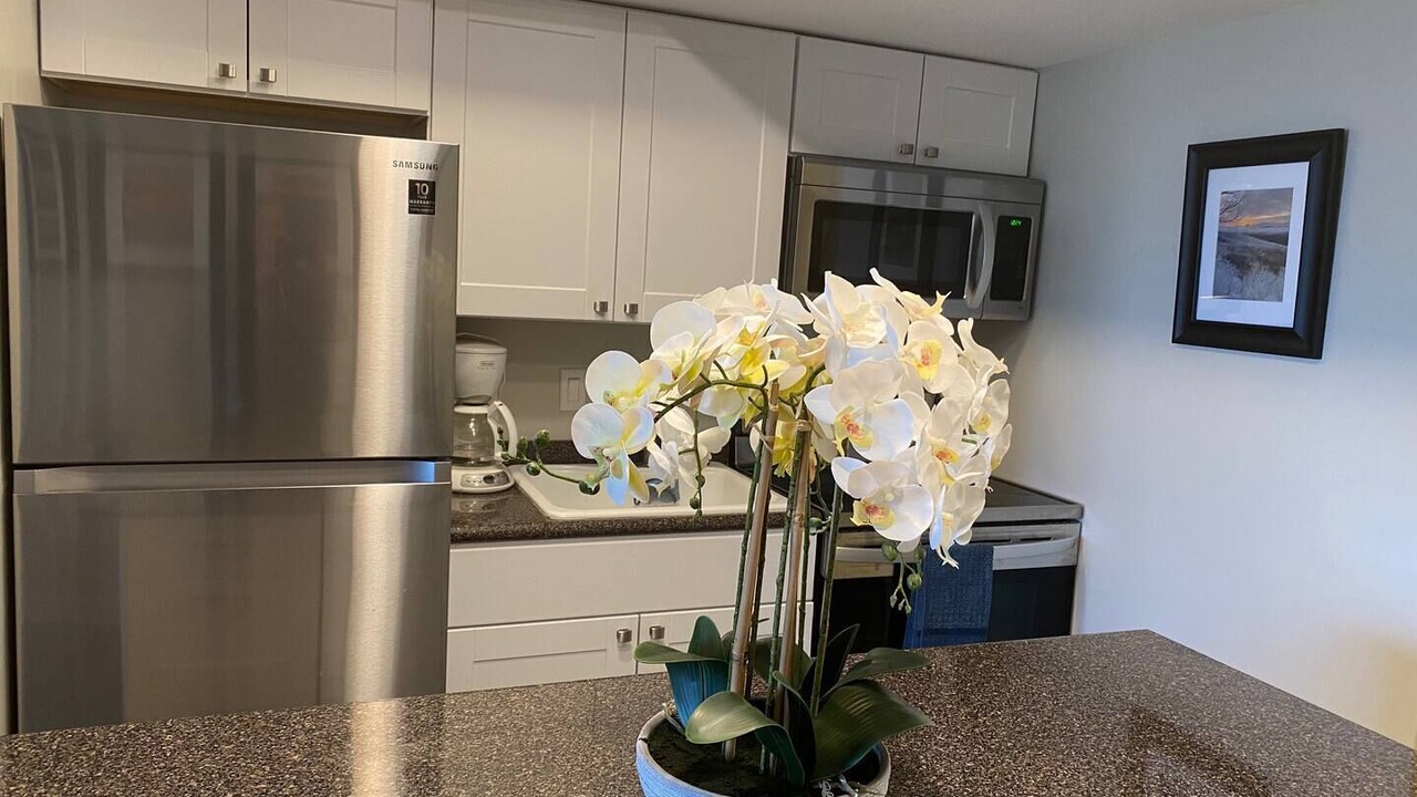 Photo of Kitchen in Nellysford