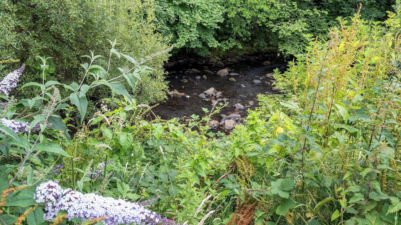 Photo of Others in Ammanford