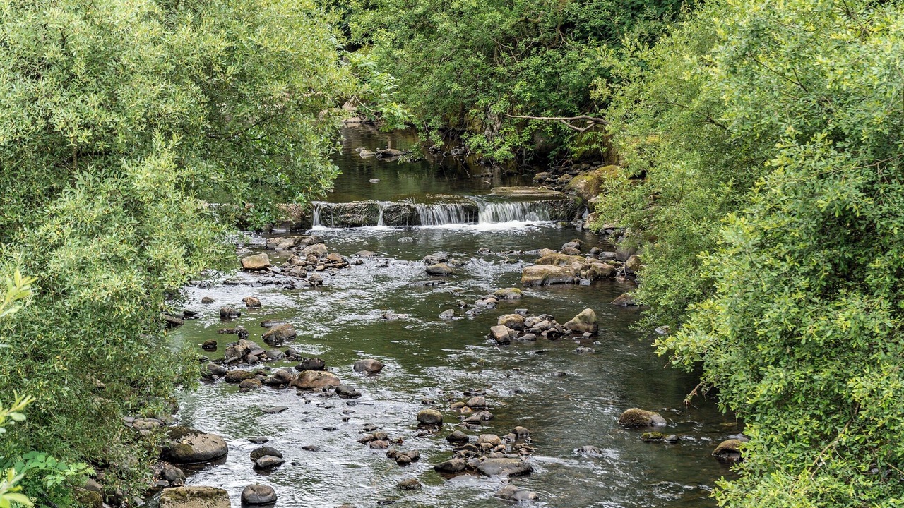 Photo of Others in Ammanford