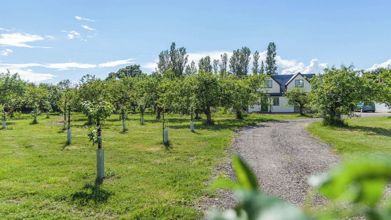 Photo of Outdoor in North Weald