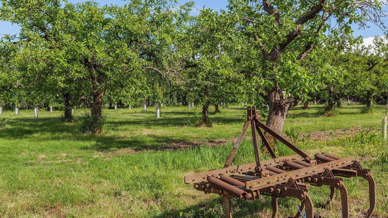 Photo of Outdoor in North Weald