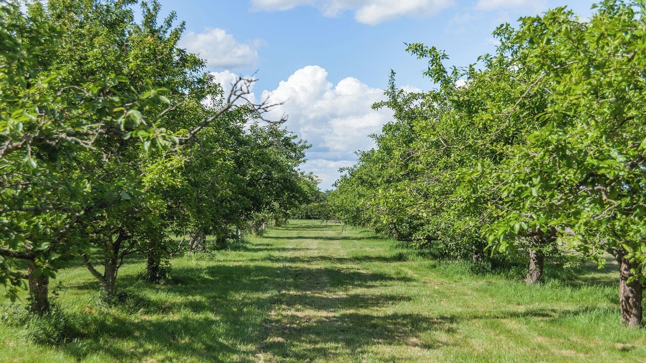 Photo of Outdoor in North Weald